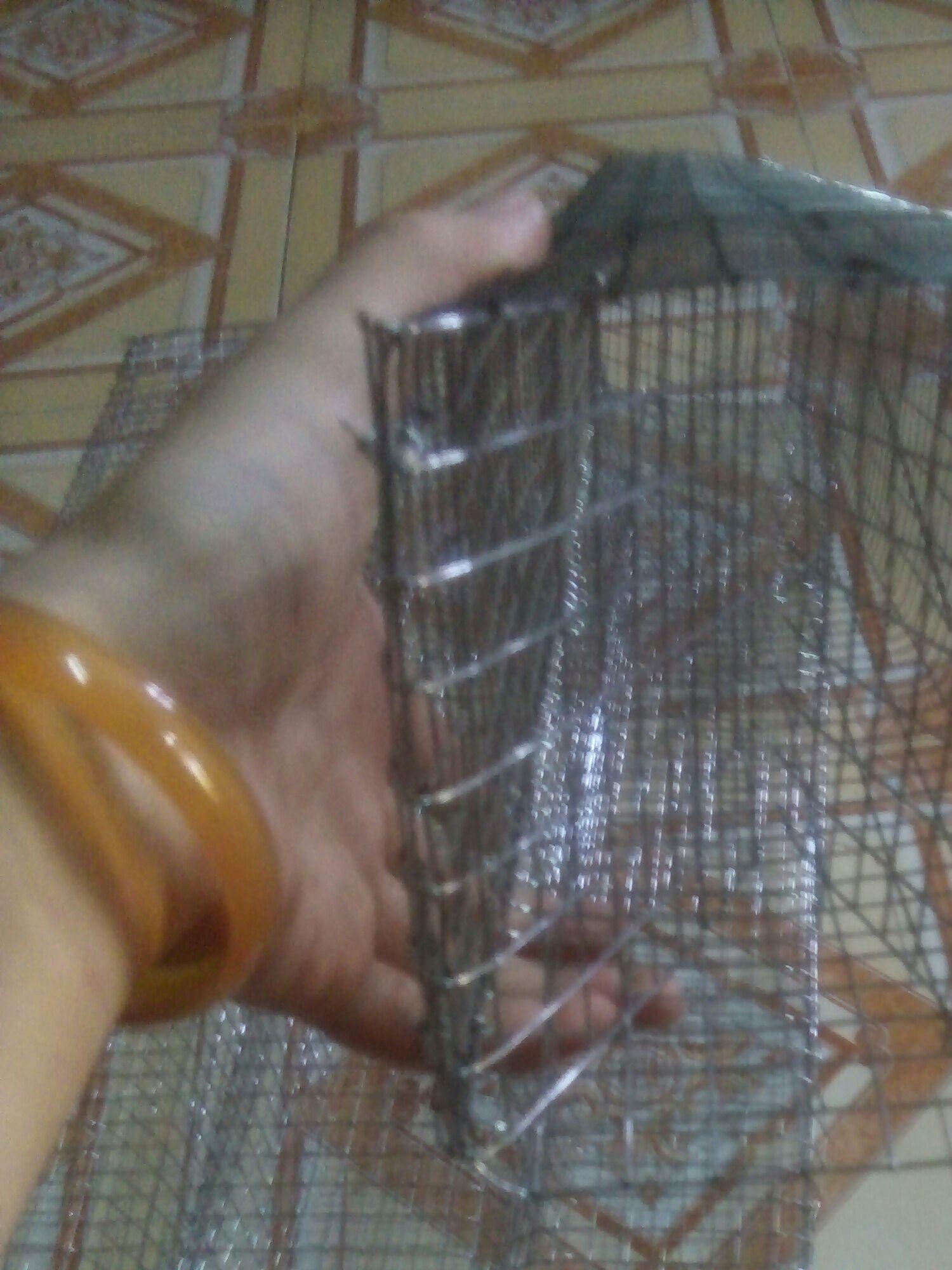 Lồng bẫy rắn 2 hom loại dài 80cm