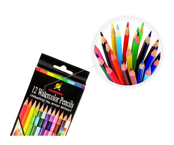 Bộ 12 chì màu thường hộp giấy Colormate