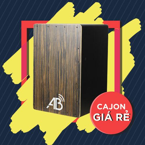 [HCM]Cajon giá rẻ cho người tập chơi
