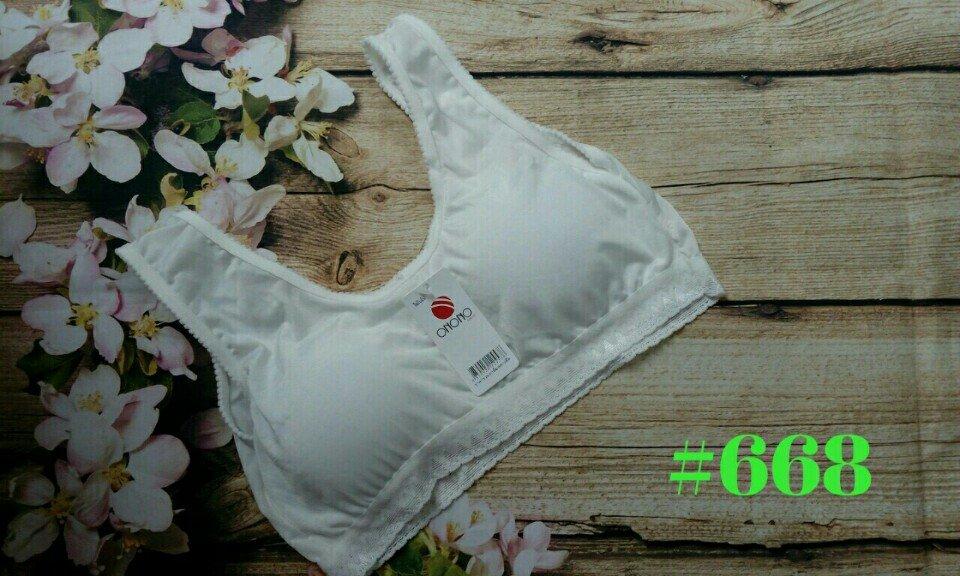 Combo 05 áo lá học sinh có mút hàng thái  668