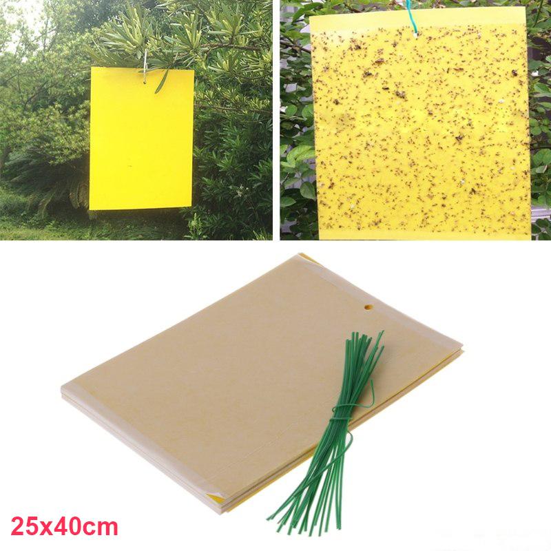 5 miếng màu bắt côn trùng khổ 25x40 nông nghiệp sạch