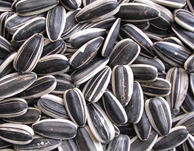 1kg hạt hướng dương loại ngon ăn liền - doanvat_hangduong