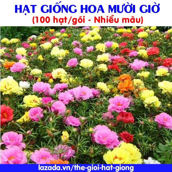 Hạt giống Hoa Mười giờ (100 hạt/gói)