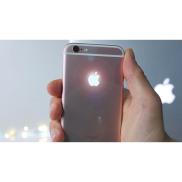 Chính Hãng Combo 3 chiếc Logo Táo phát sáng cho iPhone