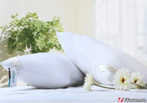 Một cặp 2 chiếc ruột gối nằm ép hơi Everon 45 x 65 cm