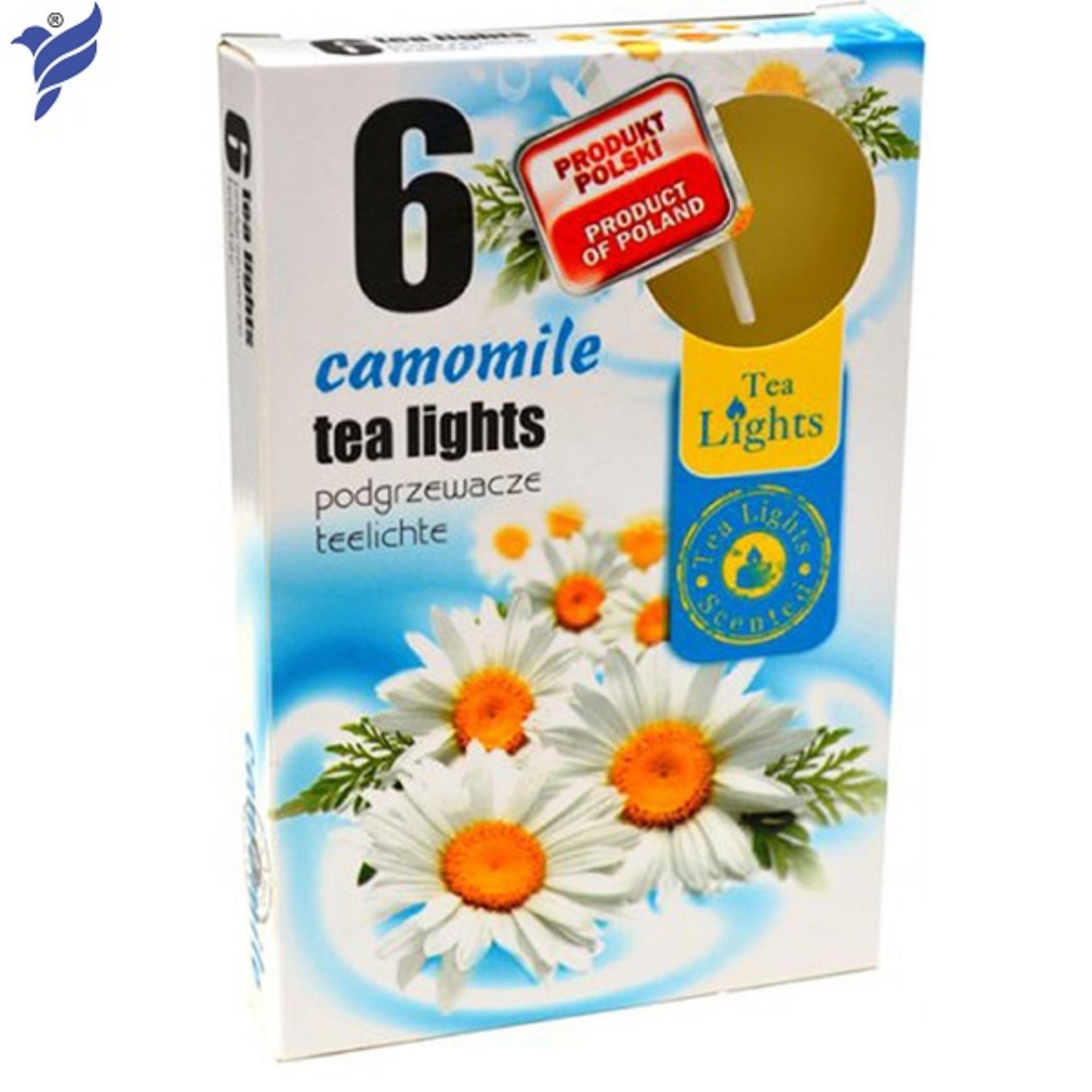 Hộp 6 nến thơm tea lights admit camomile adm7784