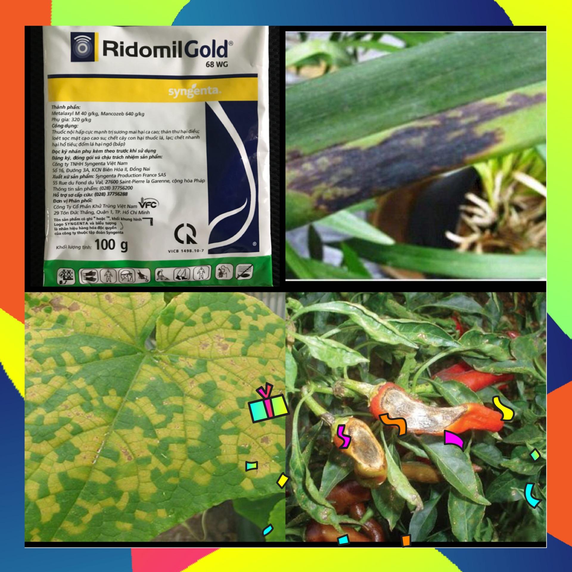 Th.uốc t.rị bệnh cây RIDOMIL GOLD 68WG (gói 100gram)