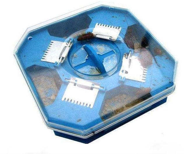 Hộp bắt gián thông minh ca430