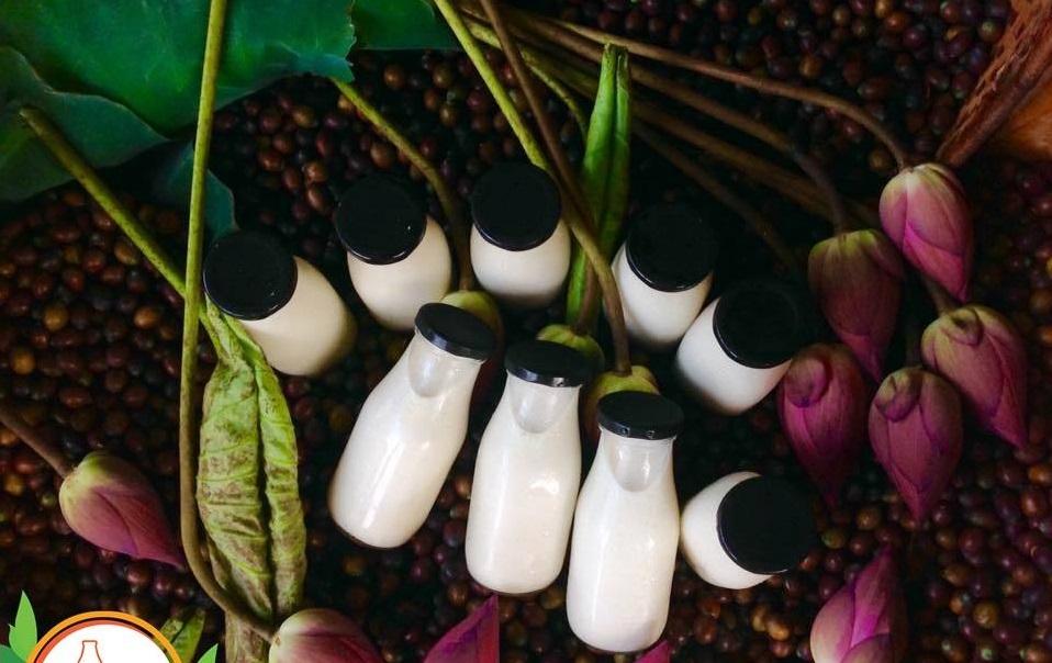 Combo 6 chai thủy tinh đựng sữa nắp thiếc 300ml