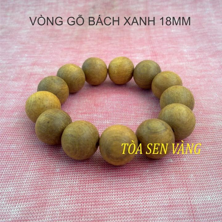BÁCH XANH 18_KN 1.jpg
