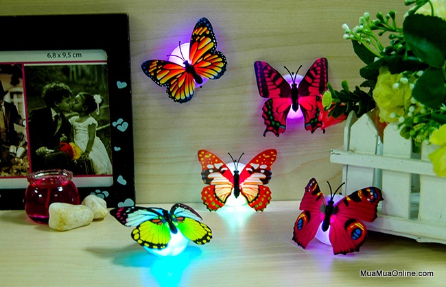 Bộ 5 bướm 3D cỡ lớn có đèn led trang trí tủ lạnh dán tường. Đèn hình bướm  ngộ nghĩnh gồm nhiều màu sắc bắt mắt giúp không gian trở nên sinh động hơn  | Lazada.vn