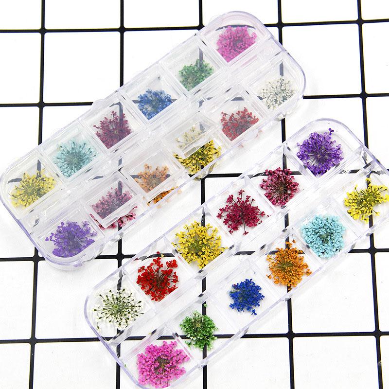 Set khay 12 ô kèm hoa khô trang trí nails, móng tay - gấu trúc phụ kiện