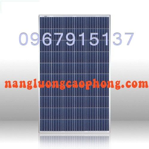 TẤM NĂNG LƯỢNG MẶT TRỜI POLY 50W