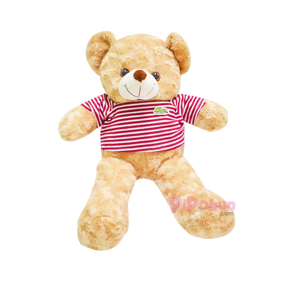 Gấu bông Teddy size 80cm Pipobun - HappyLive Shop