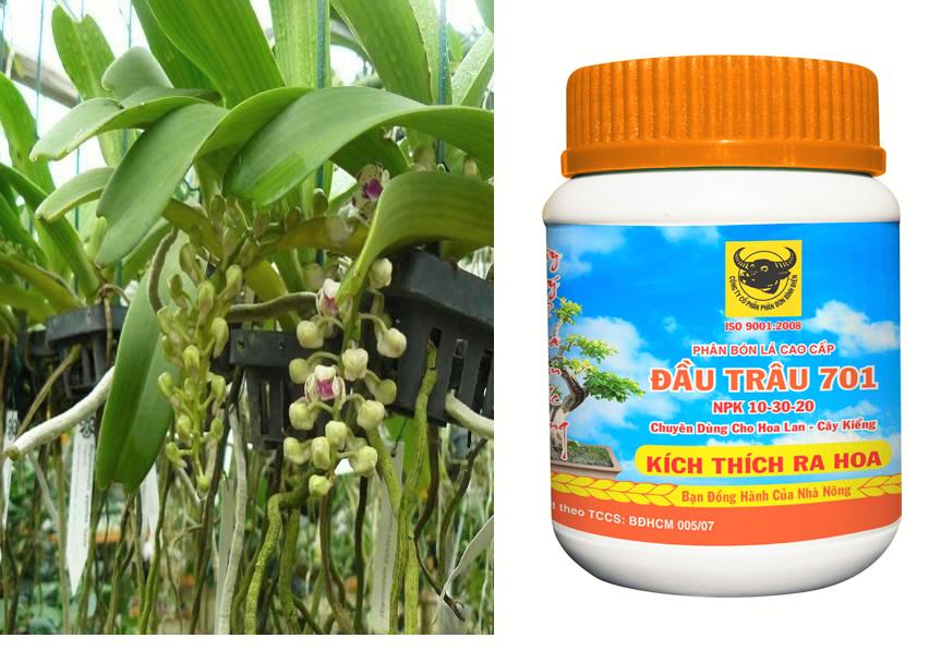 [HCM]PHÂN BÓN LÁ ĐẦU TRÂU MK 701(NPK 10-30-20) CHUYÊN LAN-CÂY CẢNH _KLT 100 gram .