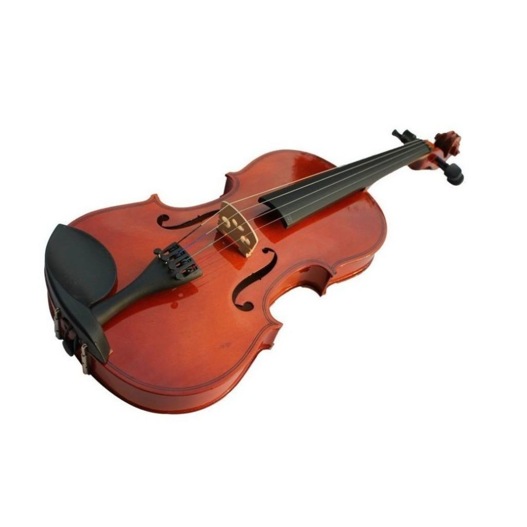 Đàn violin woim v10 size 4/4