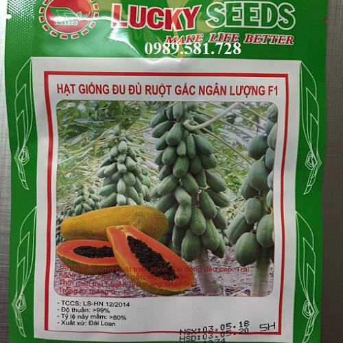 Hạt Giống Đu Đủ Lùn Siêu Quả- Lucky. Mỗi Túi 5 Hạt Loại Tốt.