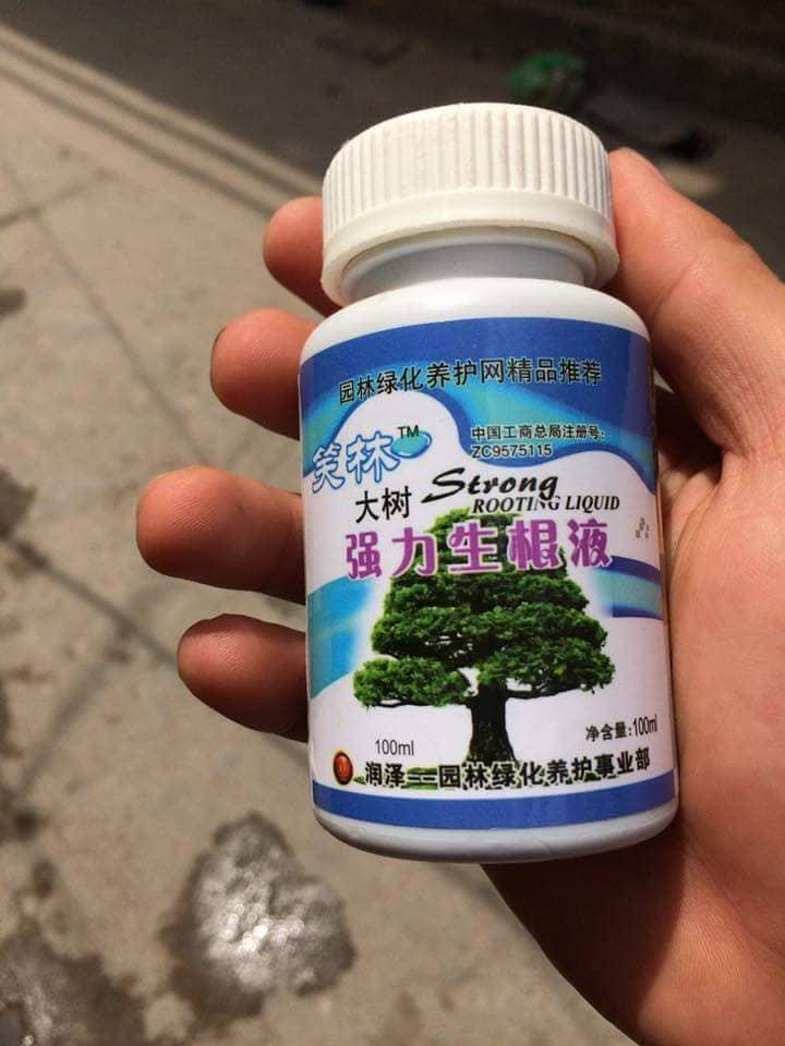 Kích thích ra rễ cực mạnh - Rooting Strong