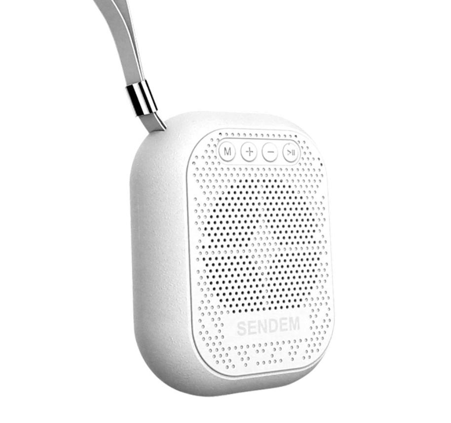 Loa Bluetooth mini Sendem F1-3W