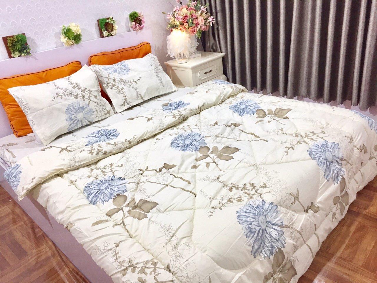 Set chăn phao 5 món