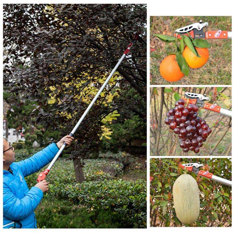 Sào hái quả 2,2m có kẹp giữ trái cây chống rơi và  có lưỡi cưa kết hợp, dụng cụ cắt tỉa cành trên cao