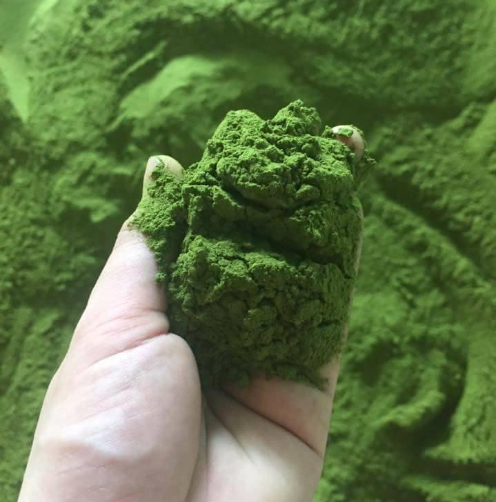 Combo 2 gói trà xanh 100 gram nguyên chất 100% - natural matcha