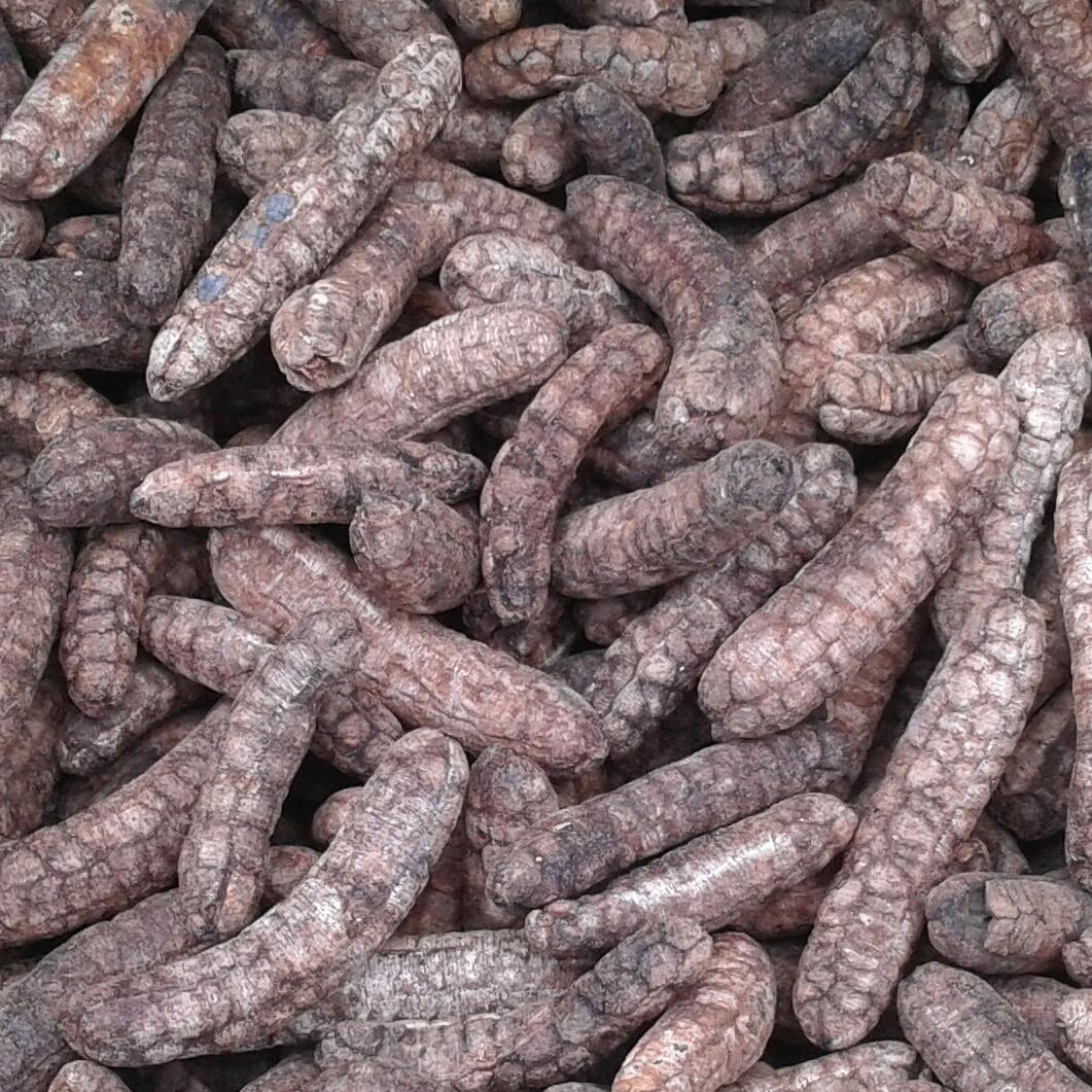 Chuối hột rừng cả quả 1kg.