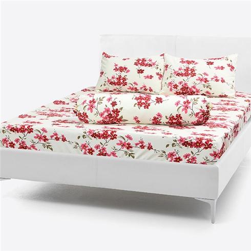 Bộ Drap Cotton Thắng Lợi 4 món áo gối chần gòn hoa nhí đỏ