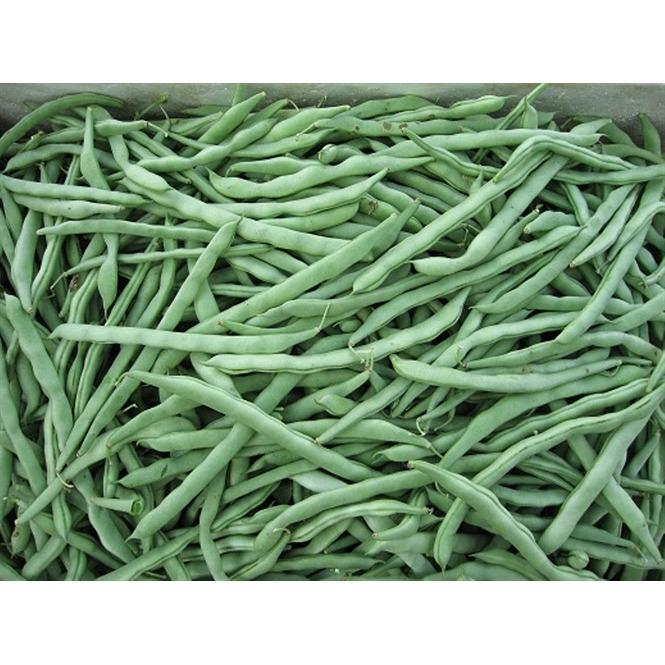 [HCM]Hạt giống đậu cove trắng leo -PhuNongSeeds