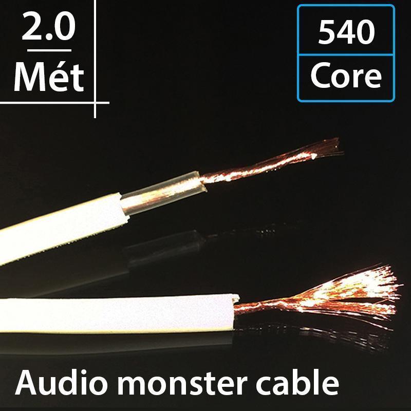 Dây loa Monster XP NW. compact precision stranded high resolution speaker cable with magneric flux tube & LPEdielectric 540 core/2 lõi - 2 mét