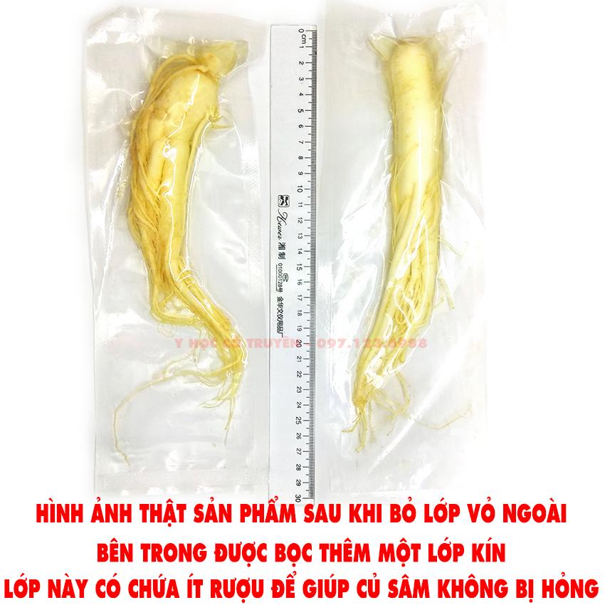 NHAN SAM TUOI.png