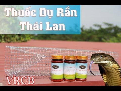 Rắn Thái Lan - Chuyên Dùng Bẫy Rắn