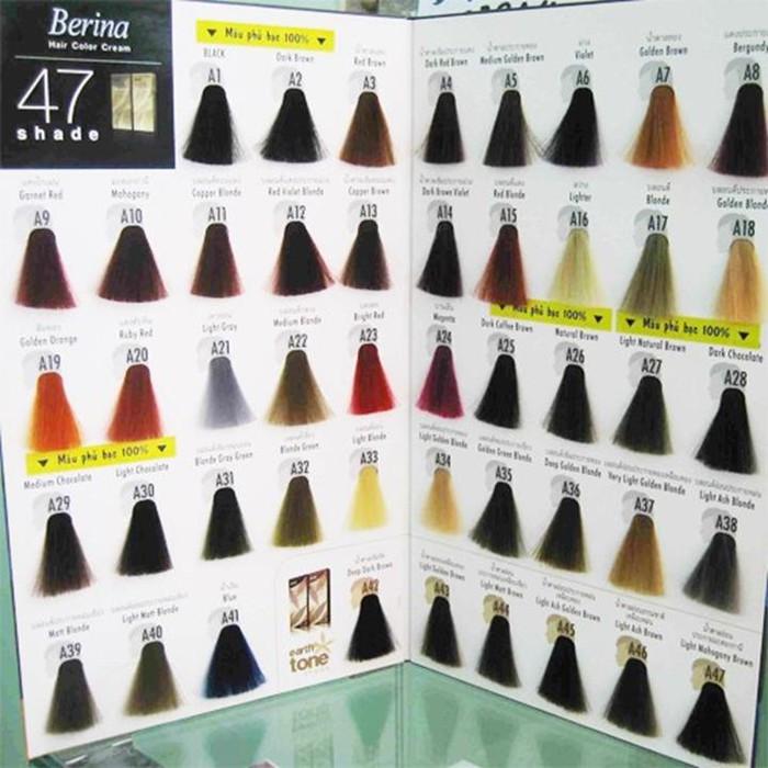 Berina Berina A1 - A47 Hair Dye 60ml Hair Dye | Shopee Malaysia
