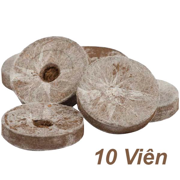 Viên nén ươm hạt