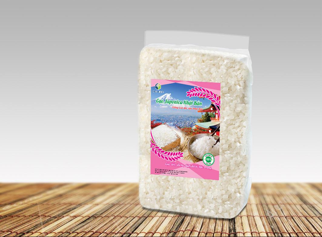 Gạo Japonica giống nhật bản 5kg