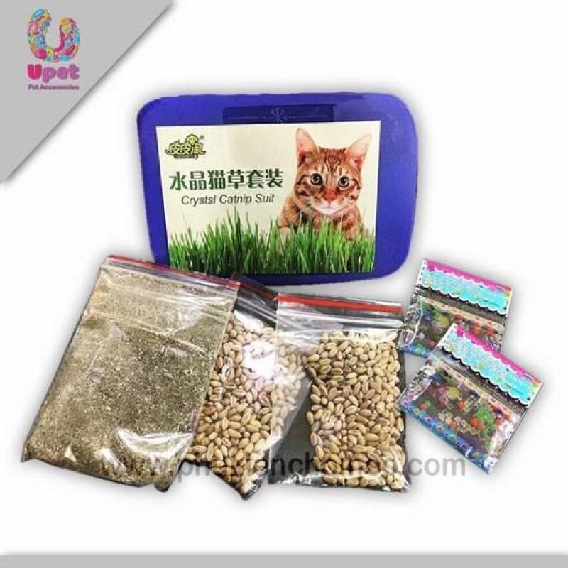SP1191 - Cỏ trồng cho mèo combo (Đồ thú cưng Hoamy)