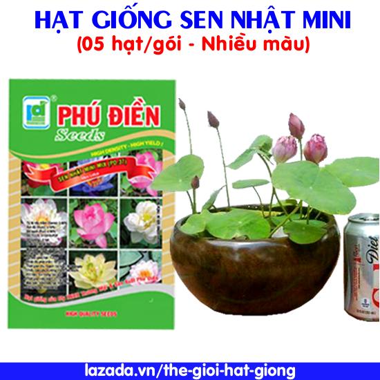Hạt giống Sen nhật mini nhiều màu (05 hạt/gói)