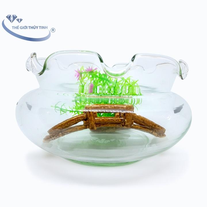Bể Cá Thủy Tinh Hồ Cá Miệng Bèo Lùn D24Cm X H10Cm - B18