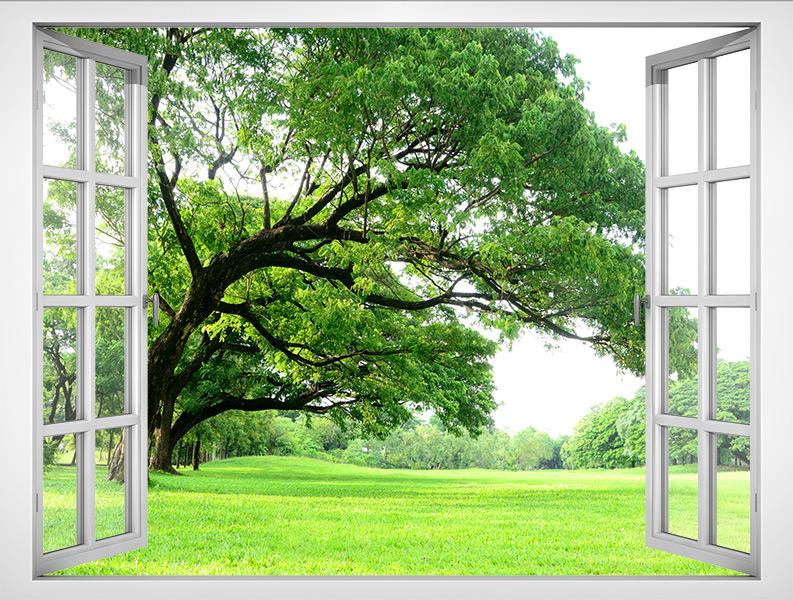  Tranh dán tường cửa sổ 3D VTC Cảnh đẹp thiên nhiên VT0053 nghệ thuật 