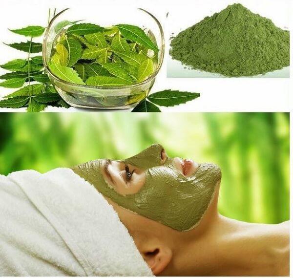 bột neem là mặt nạ trị mụn rất hiệu quả cho làn da của bạn