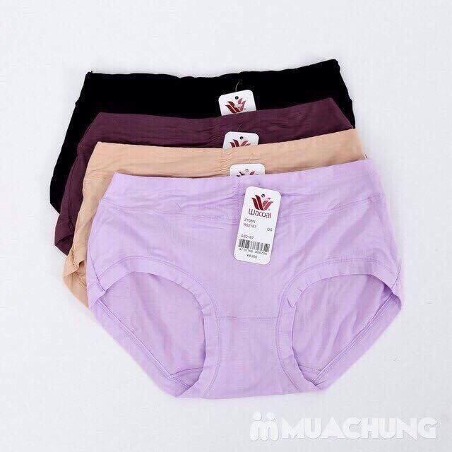 Combo 10 quần lót nữ cotton nhúm trước cao cấp vnxk - noiysieusi.com