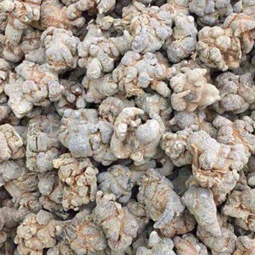 1kg củ tam thất bắc