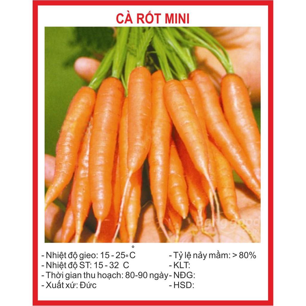 Hạt giống Cà rốt tí hon
