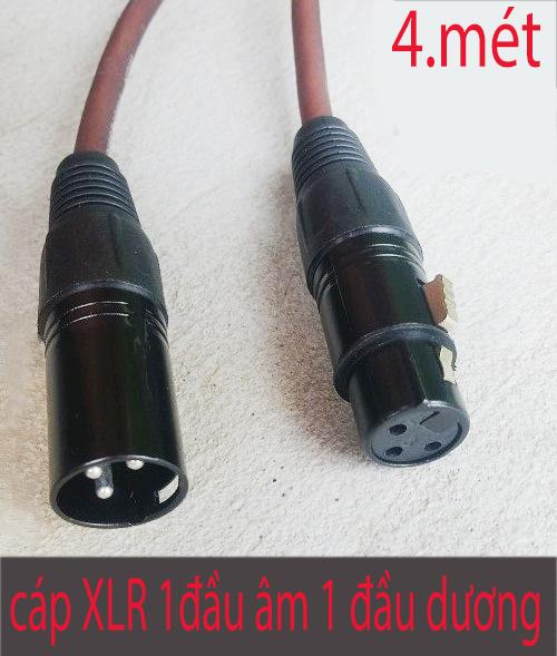 Dây cáp cannon xlr 1 đầu âm 1 đầu dương 4 mét