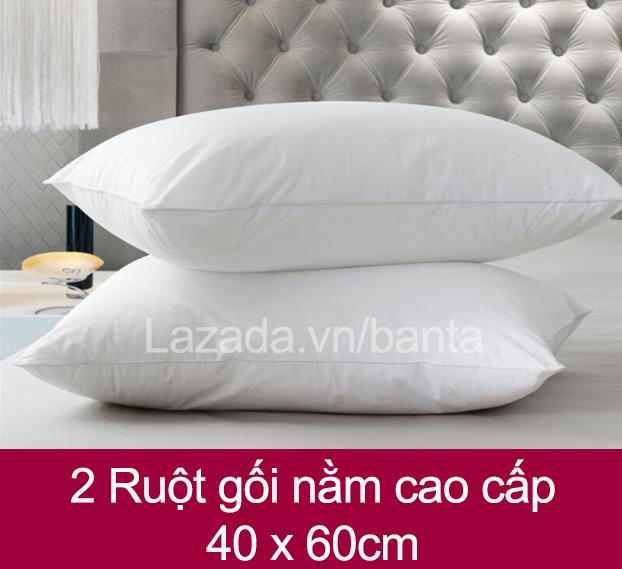 2 Ruột gối hơi (ruột gối nằm) kích thước 40x60cm mềm mại cho giấc ngủ say