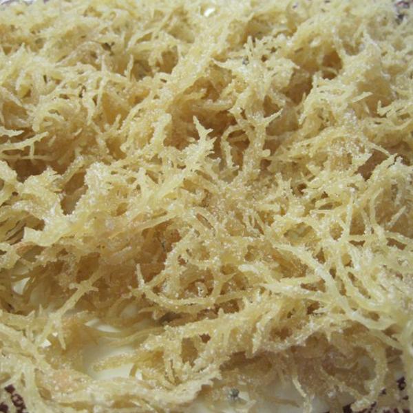 Rau Câu Chân Vịt Lý Sơn