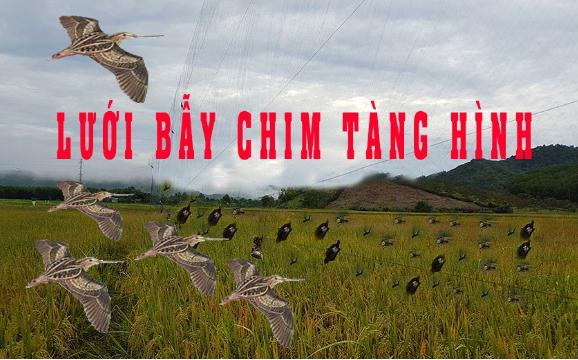 Lưới bẫy rẽ giun, bẫy tổng hợp các loại chim dài 30m cao 6m đã làm đầy đủ và thắt chống gió, hàng thái lan mua về chỉ việc sử dụng