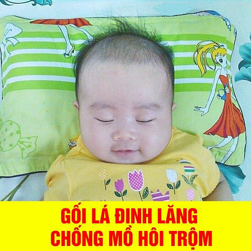 Gối lá đinh lăng cho bé 1-3 tuổi