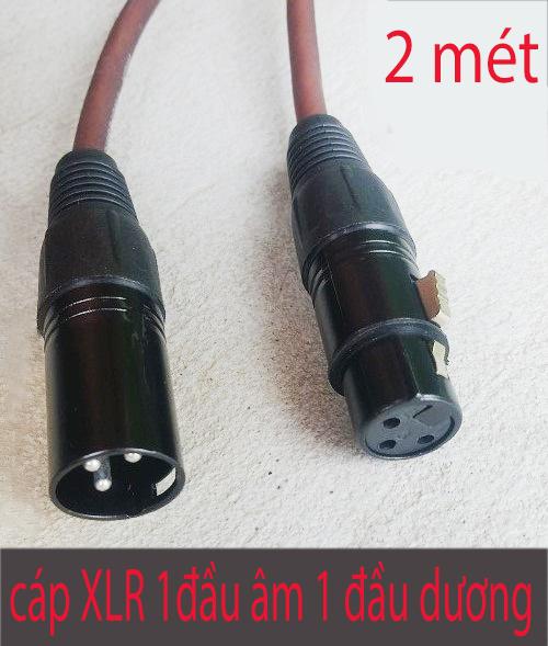Dây cáp Cannon XLR 1 đầu âm 1 đầu dương loại 2 mét