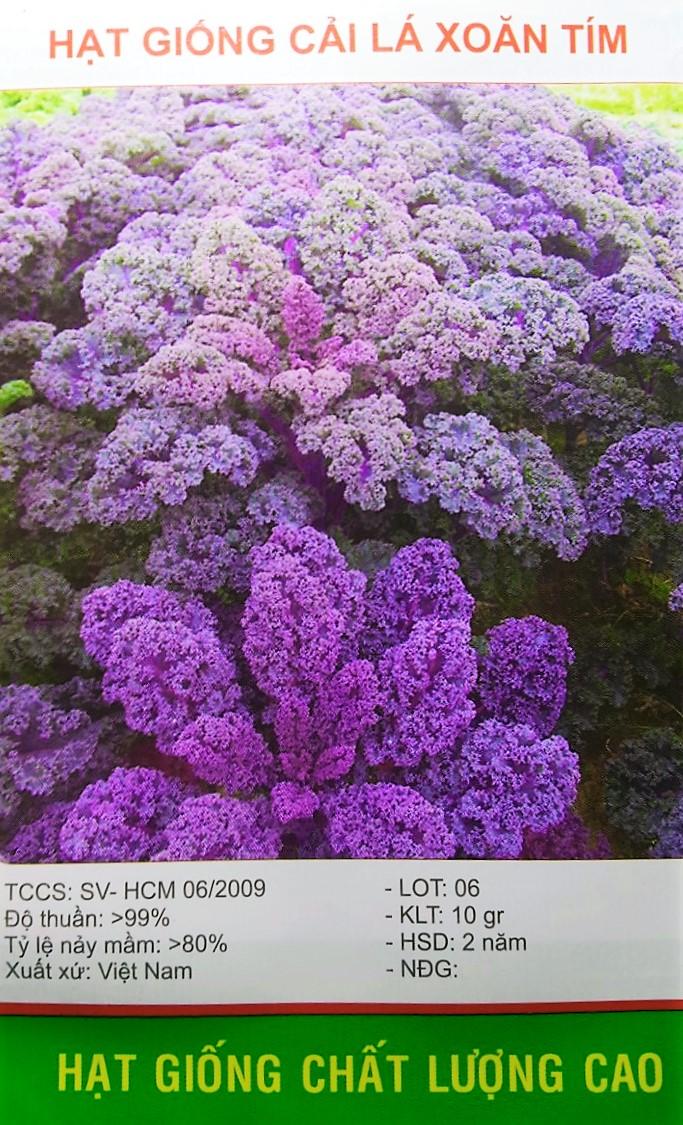 [HCM]Hạt Giống  Cải Lá Xoăn Tím -KLT 10gram .